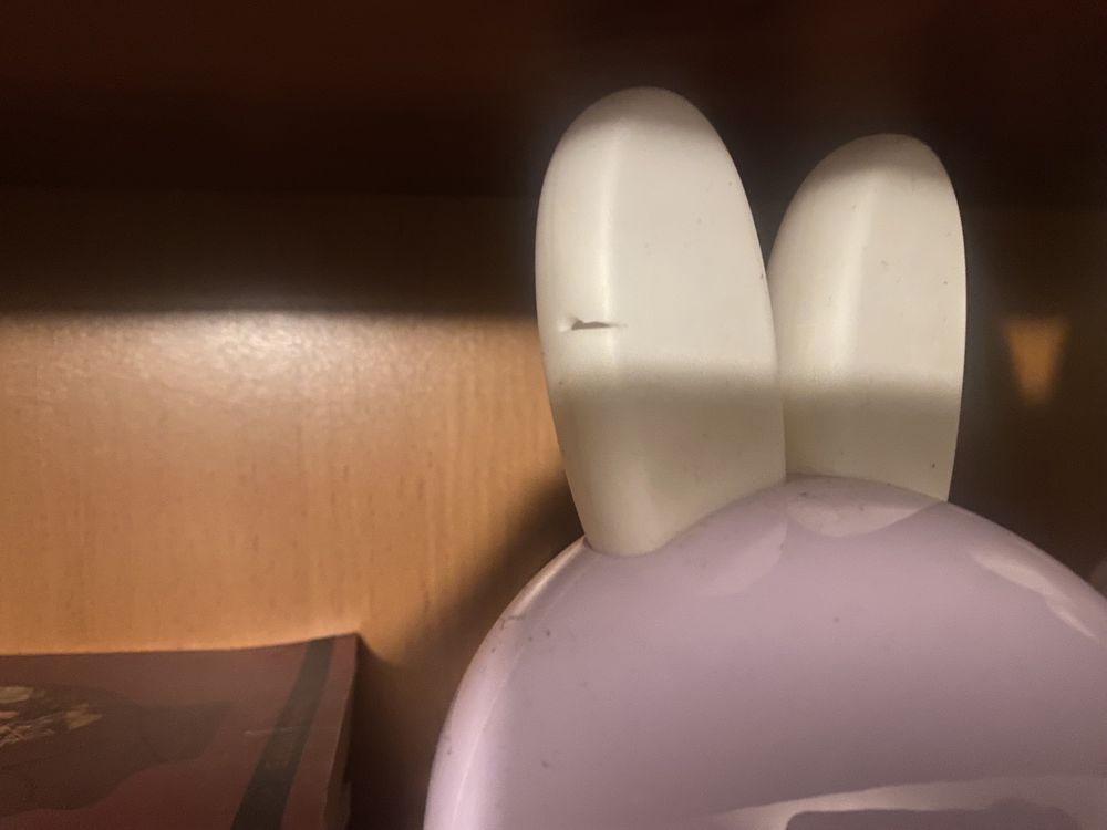 Alilo bunny- germana si engleza