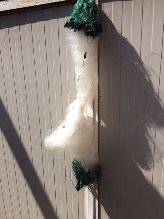 Plase pescuit cu radine