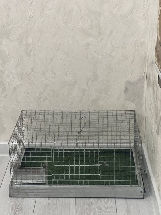 Qafas sotiladi xolati yaxshi