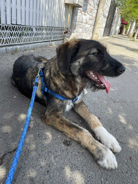 Ady – un băiețel iubitor