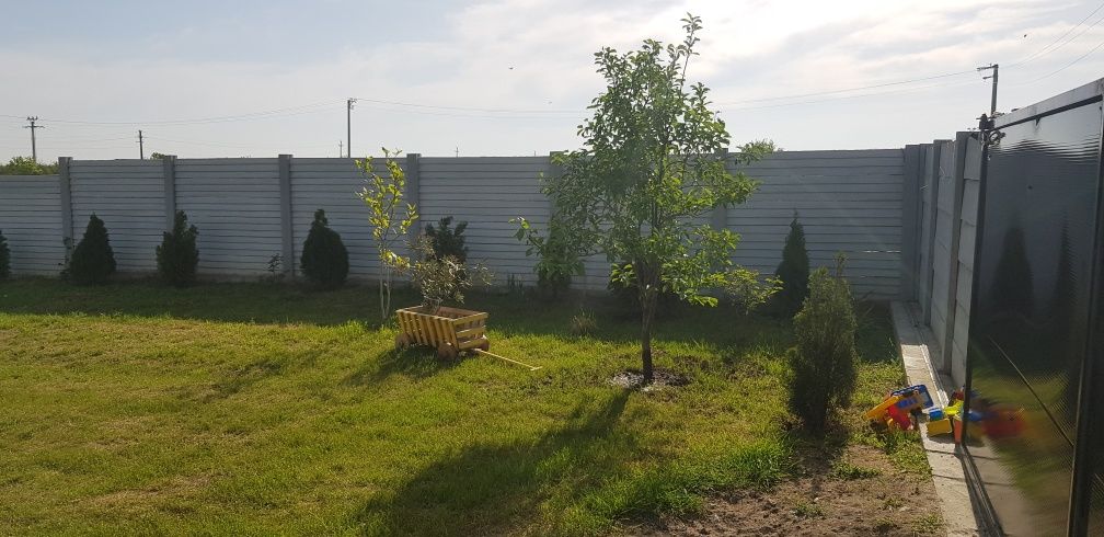 Vand Teren Carcea 600 m²