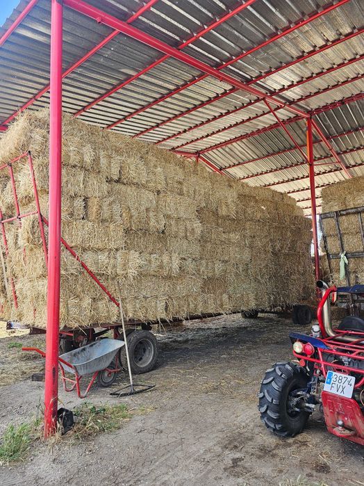 Vand baloti mici si rotunzi