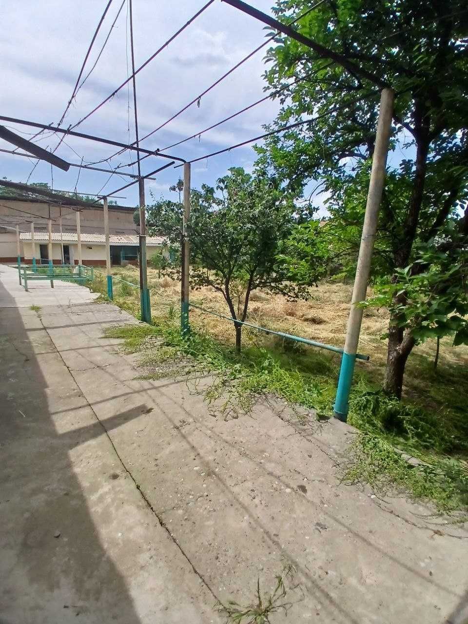 Земля 10соток Мирзо Улугбек ТТЗ
