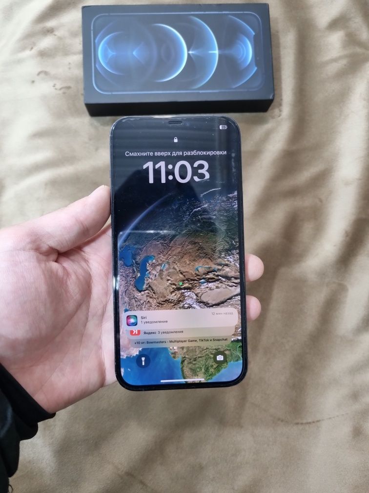 Iphone 12 Pro Max 256 Gb
