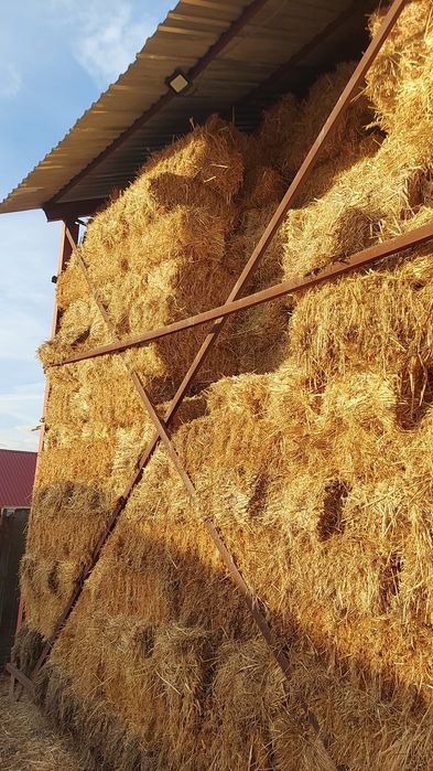 baloti de lucerna fin borceag paie