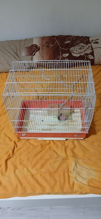 Doua colivi de vanzare