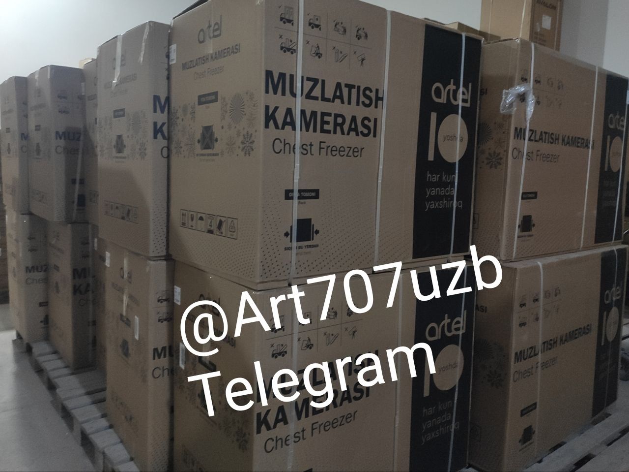 Morozilnik/Морозильник Artel Embrako 150V