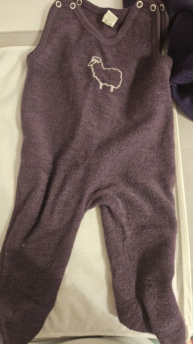 Salopeta merinos Engel