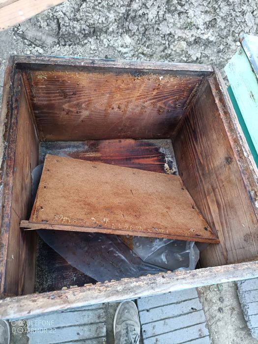 Stupi 12 rame albine