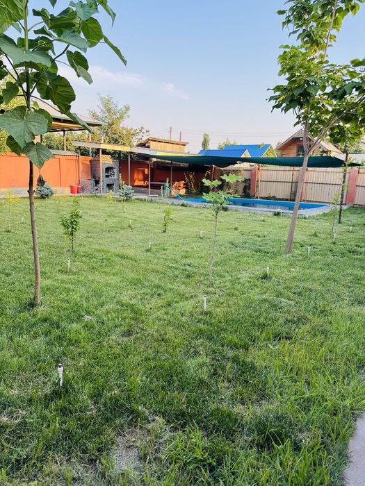 Dacha sotladi 5,2 soliq zor joyda