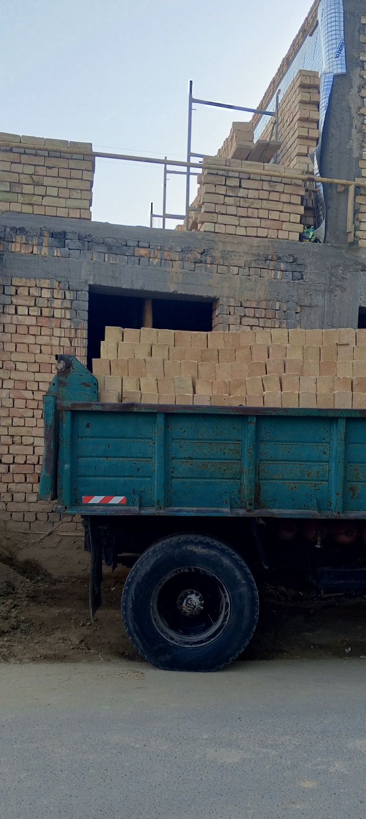 Pishgan va xom gʻish