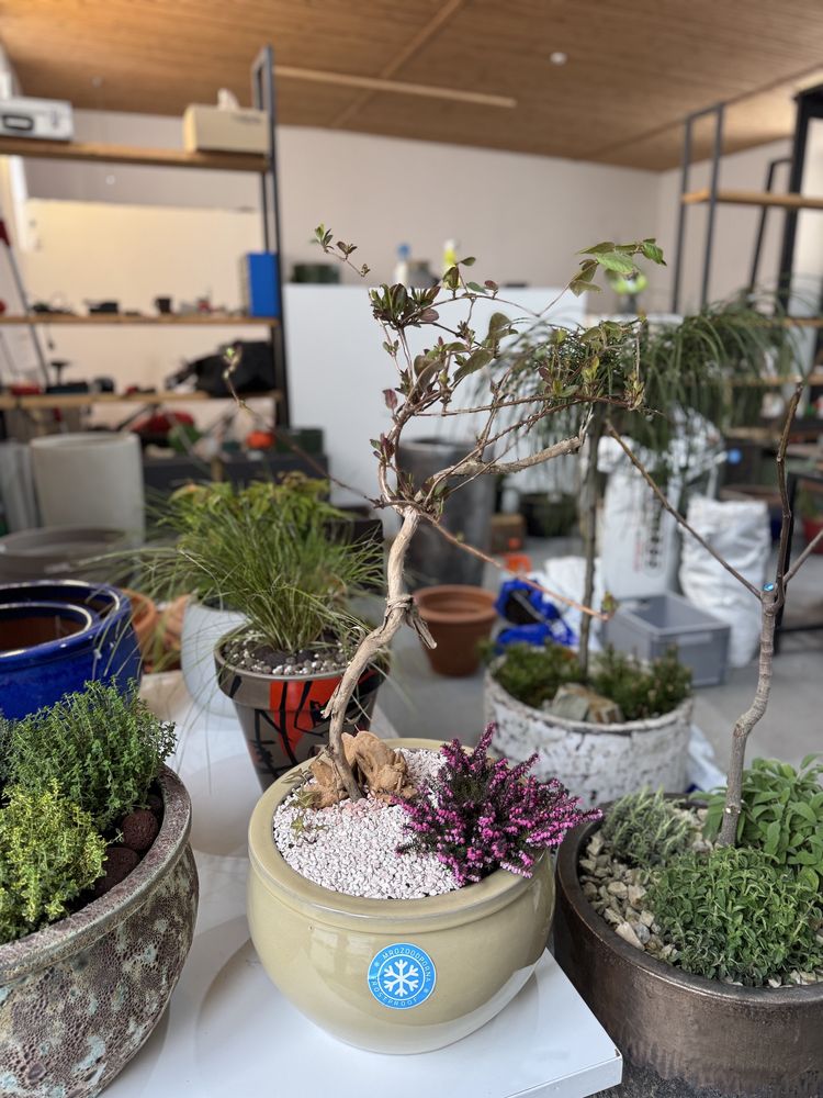 greenscape - peisagistică, grădinărit, întreținere spații verzi