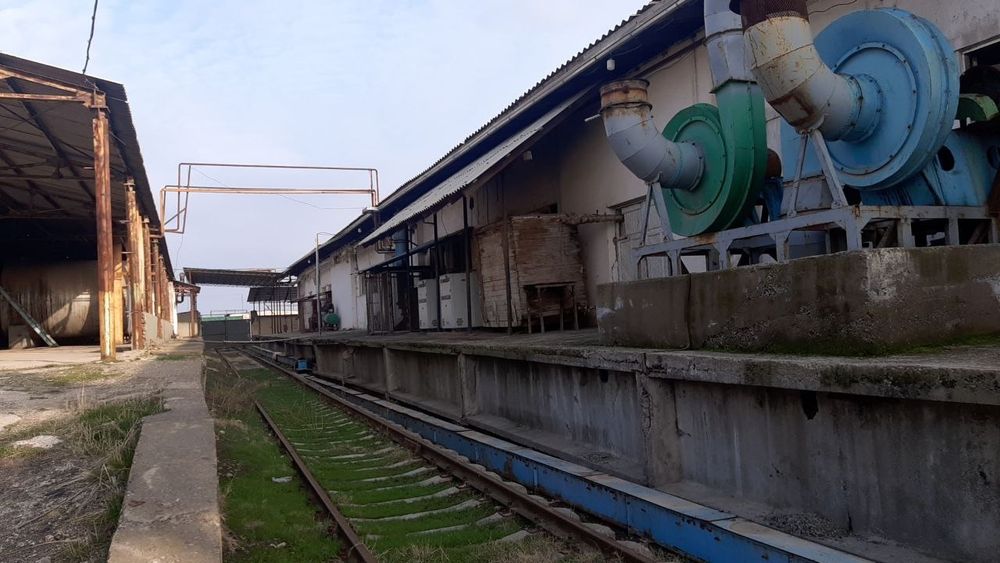 Продаётся готовый бизнес завод производства салатовый Маслов