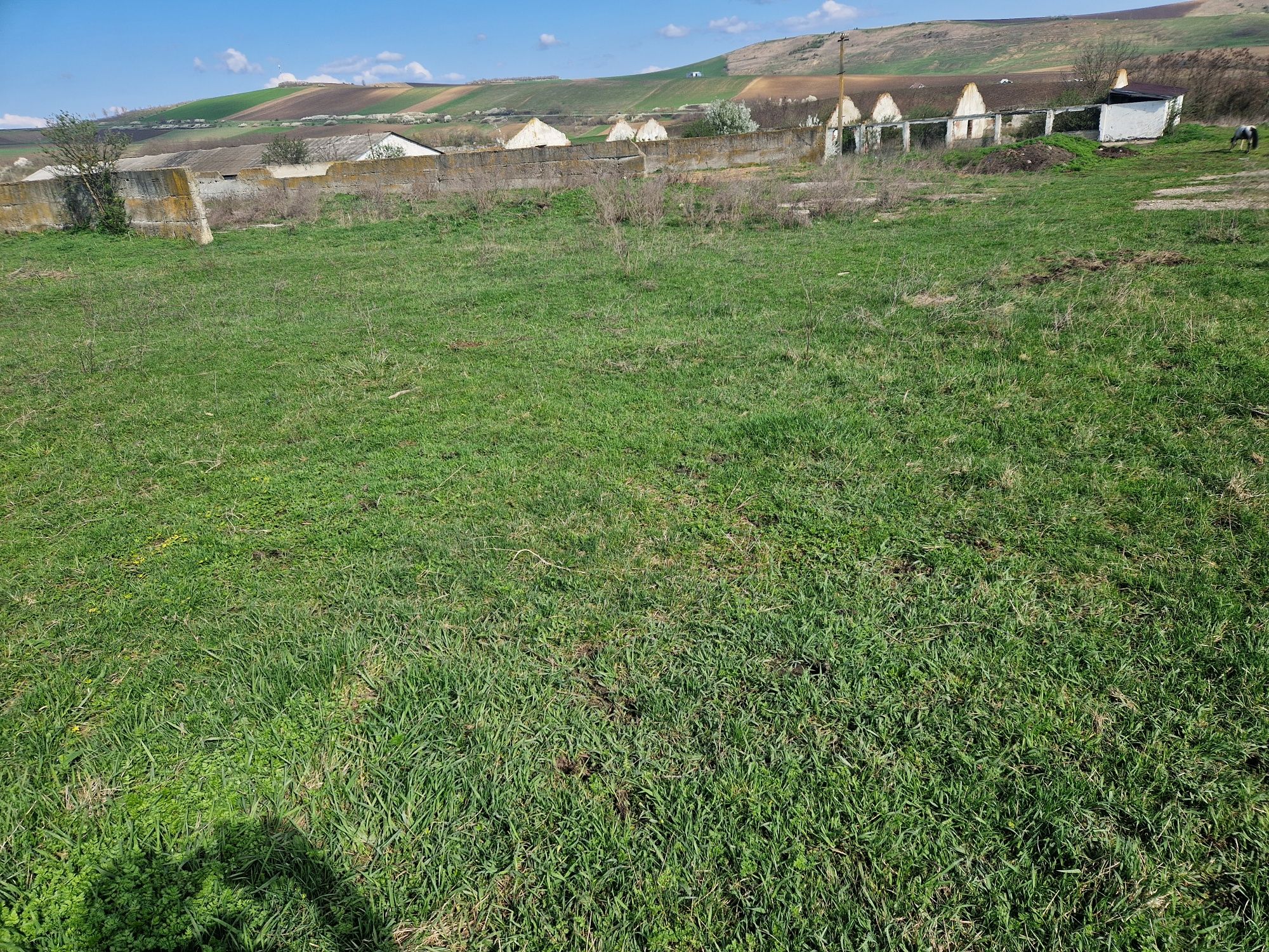 Vand teren intravilan cu toate utilitatile  Suprafata utila: 15000  mp