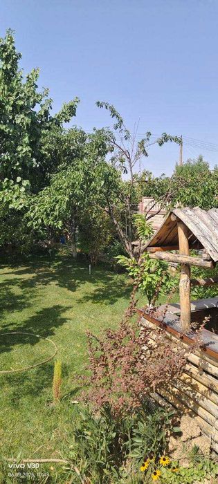 Ваше новое место силы! Кристально чистый воздух!