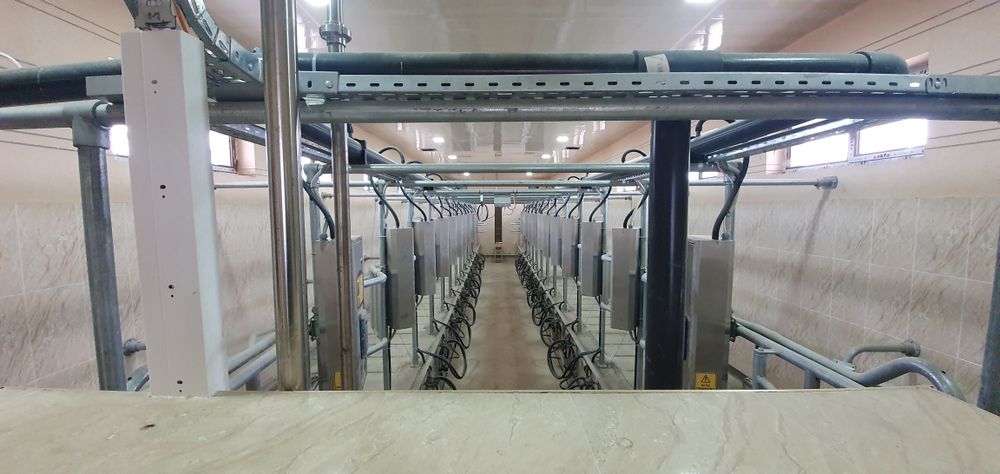 Продается молочная ферма