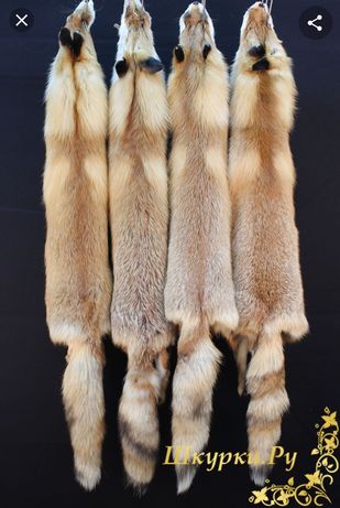 Продам шкуру лисы, привезена из России.