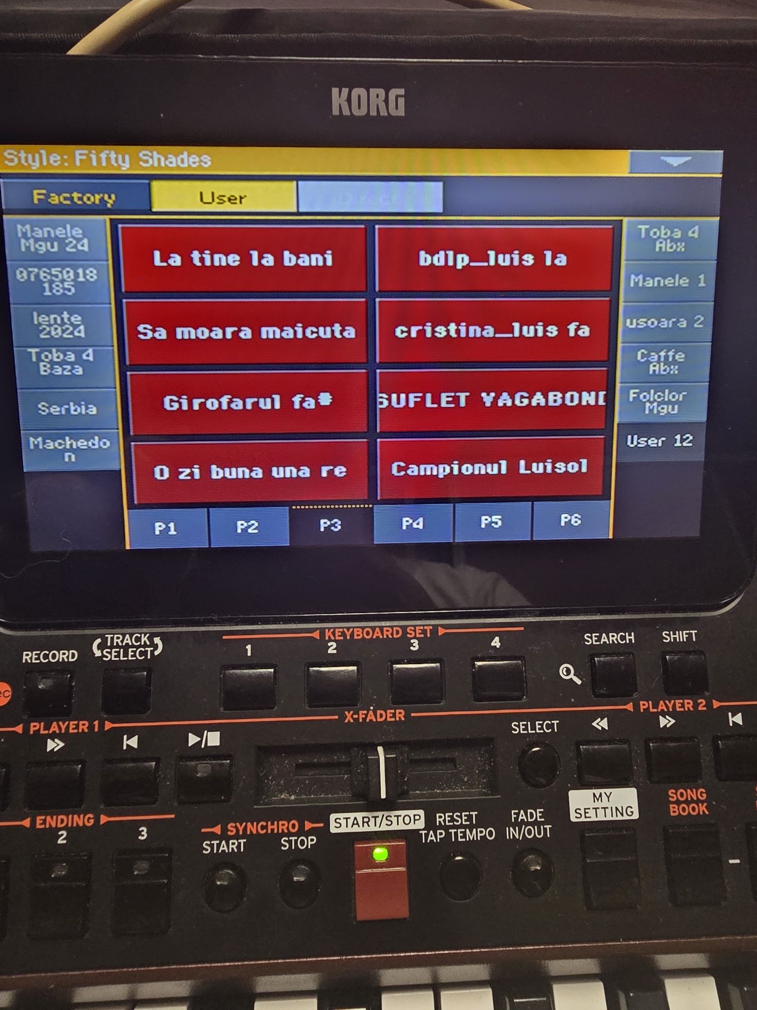 Set Korg korg Pa4x/Pa1000/Pa700/Pa3x/Pa2 Manual Automat introduceri 20