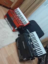 Inchiriez acordeon fr4x