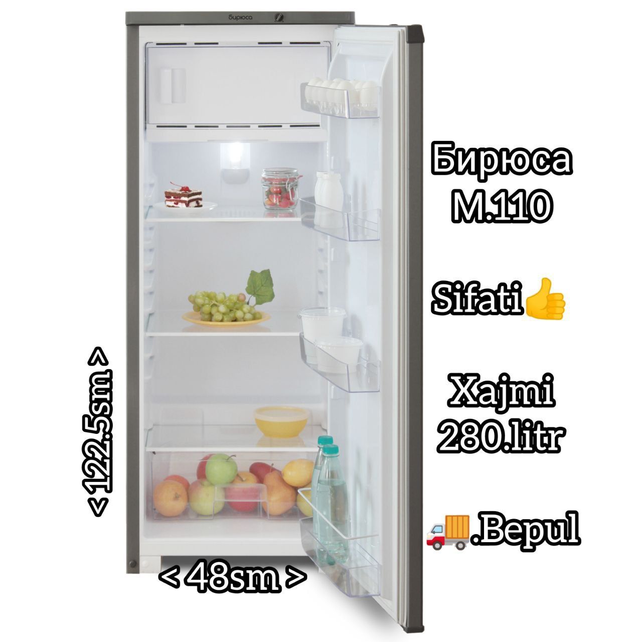 Российский Холодильник Бирюса м110 xolodilnik
