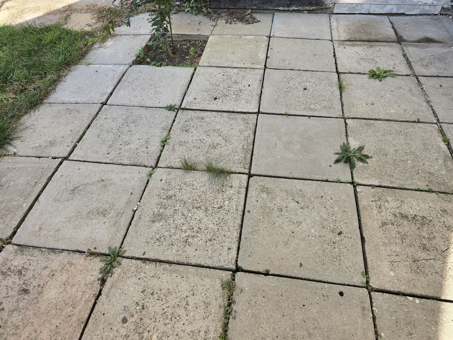 Dale, placi de trotuar 50x50x7 cm – solide și grele – 120 bucăți dispo