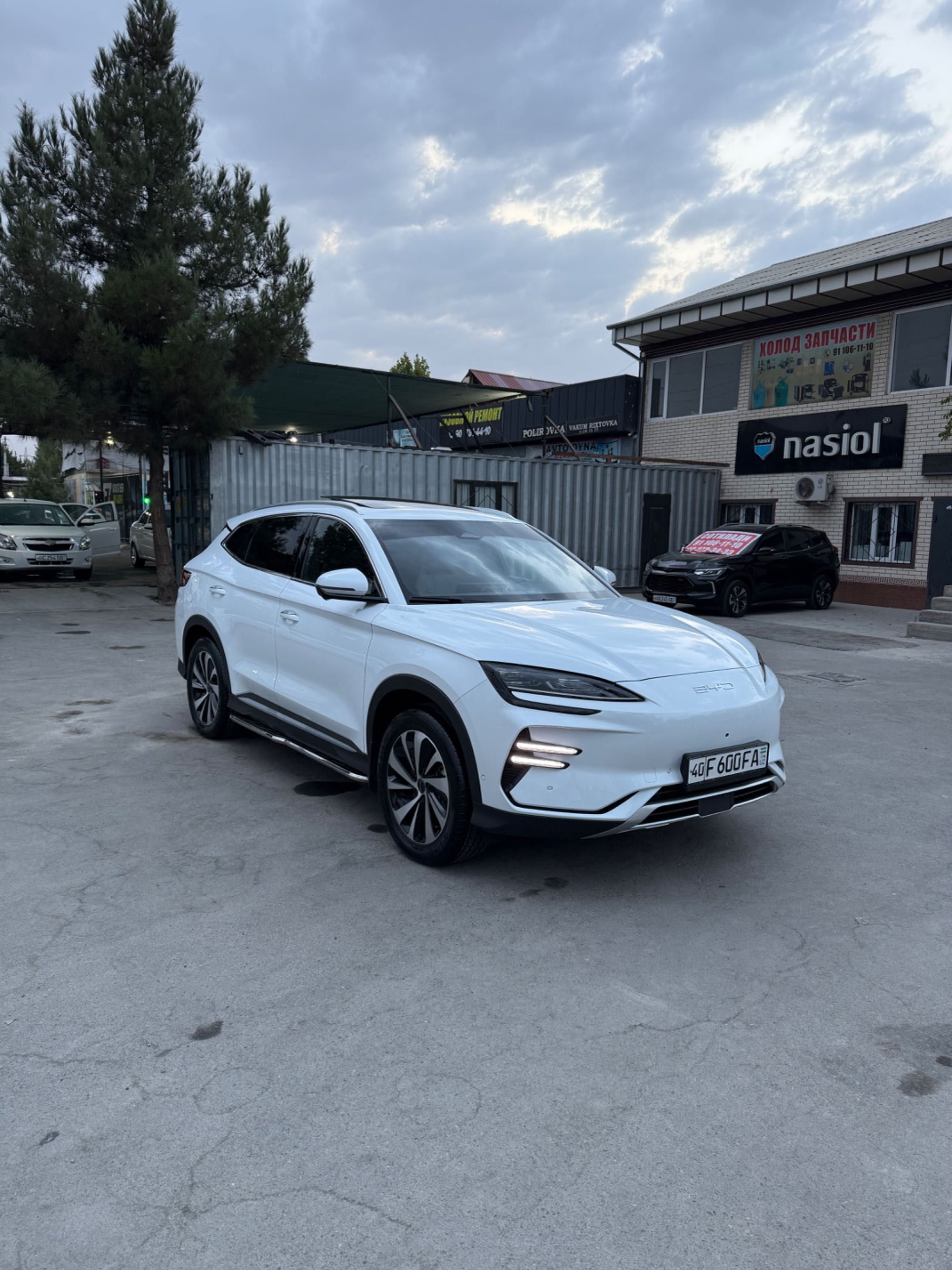 BYD Champion  Сотилади