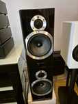 Vand Boxe Whafedale Diamond 10.2 negre