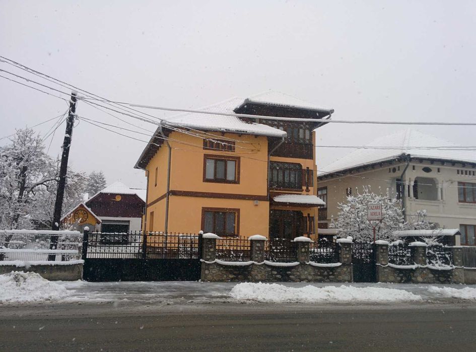 Liber Craciun / Revelion Pensiune, Horezu- jud Valcea