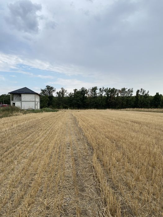 Teren de vanzare 3000 m la 5 km de Craiova