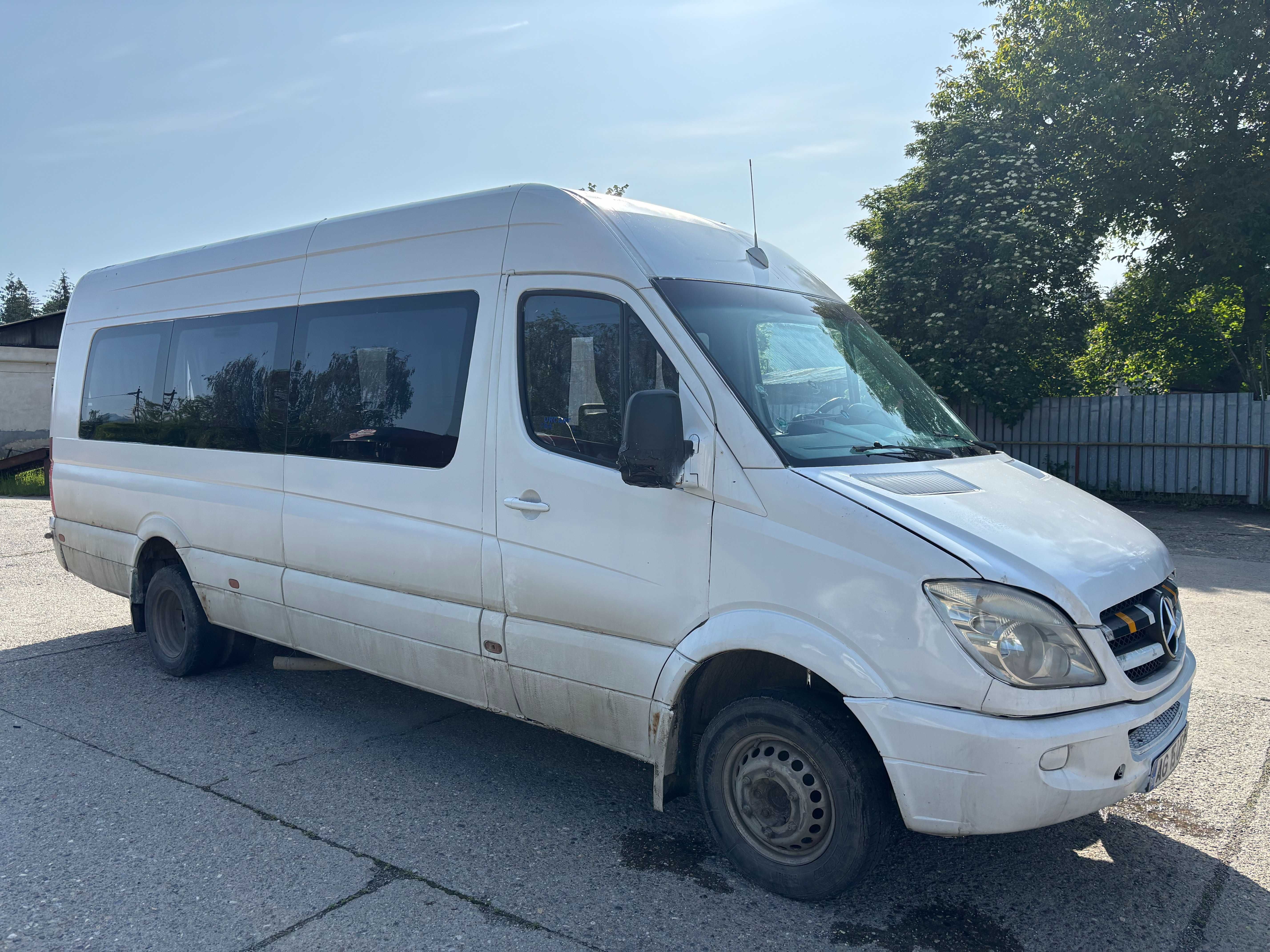 Microbuze Mercedes Sprinter si Iveco Daily