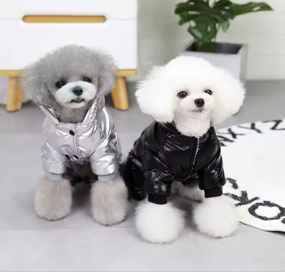 Зимен кучешки космонавт