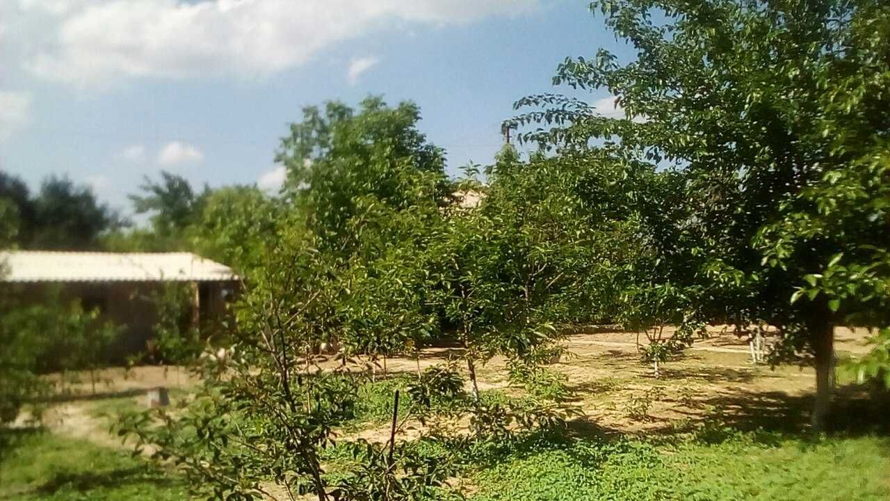 Дача сотилади 6 сотих