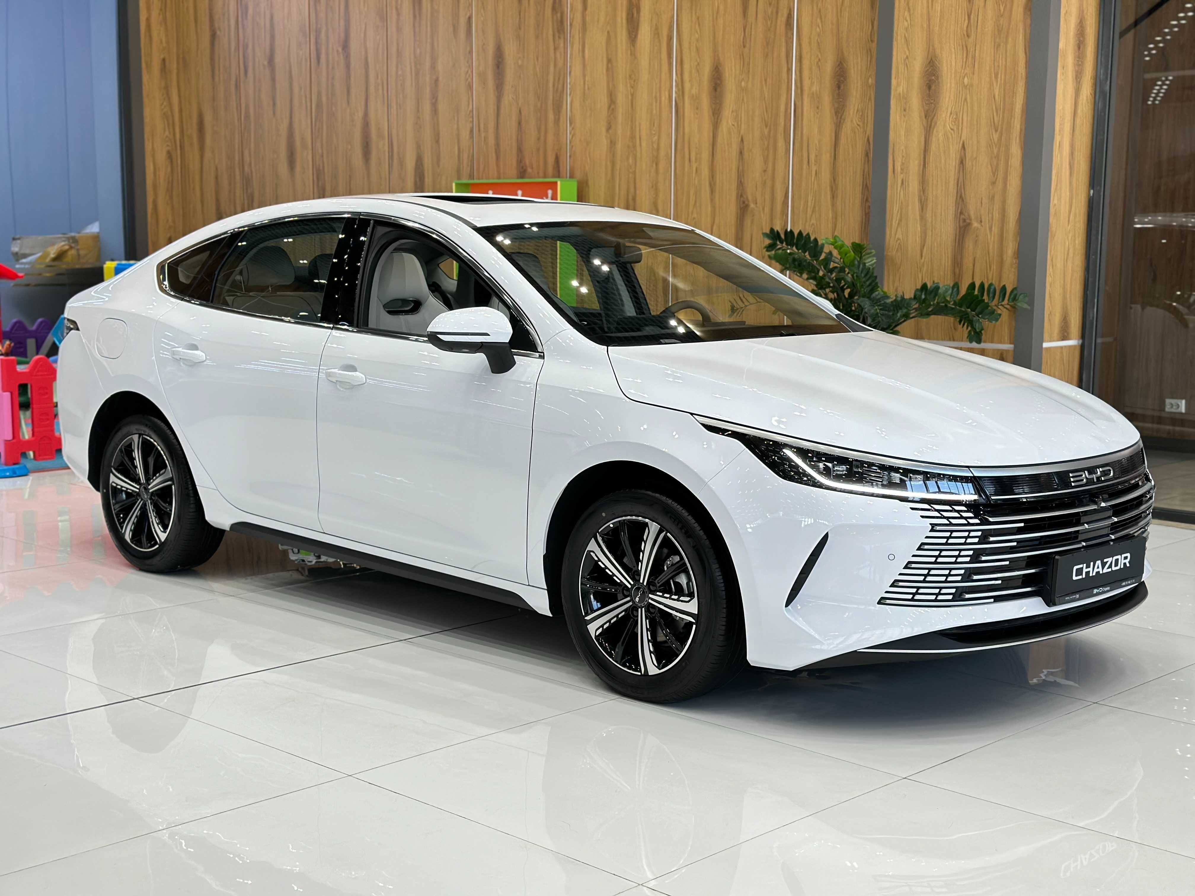 BYD Chazor Champion 120 km Comfort