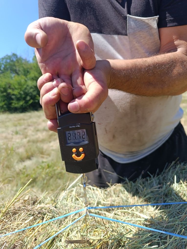 Продавам малки бали от ливадно сено
