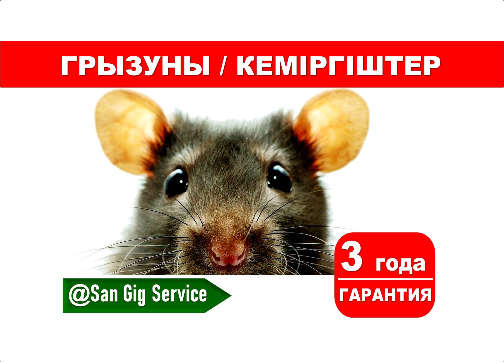 Уничтожение Грызунов крысы и мыши