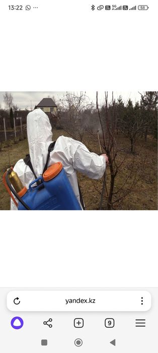 Я садовник делаю все виды садовых работу.