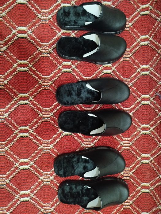 Paypoq Maxsi Mol Teri mexsiz