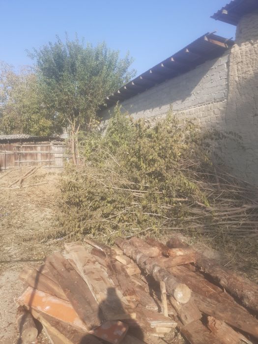 Дрова Тутовник Недорого в объёме 4 машины