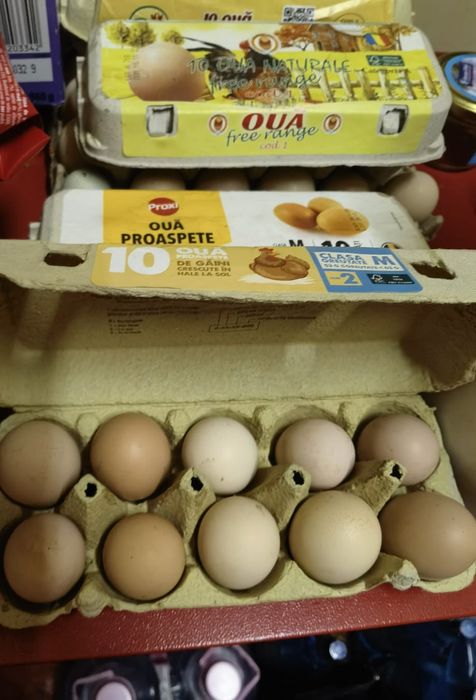 Oua proaspete de vânzare