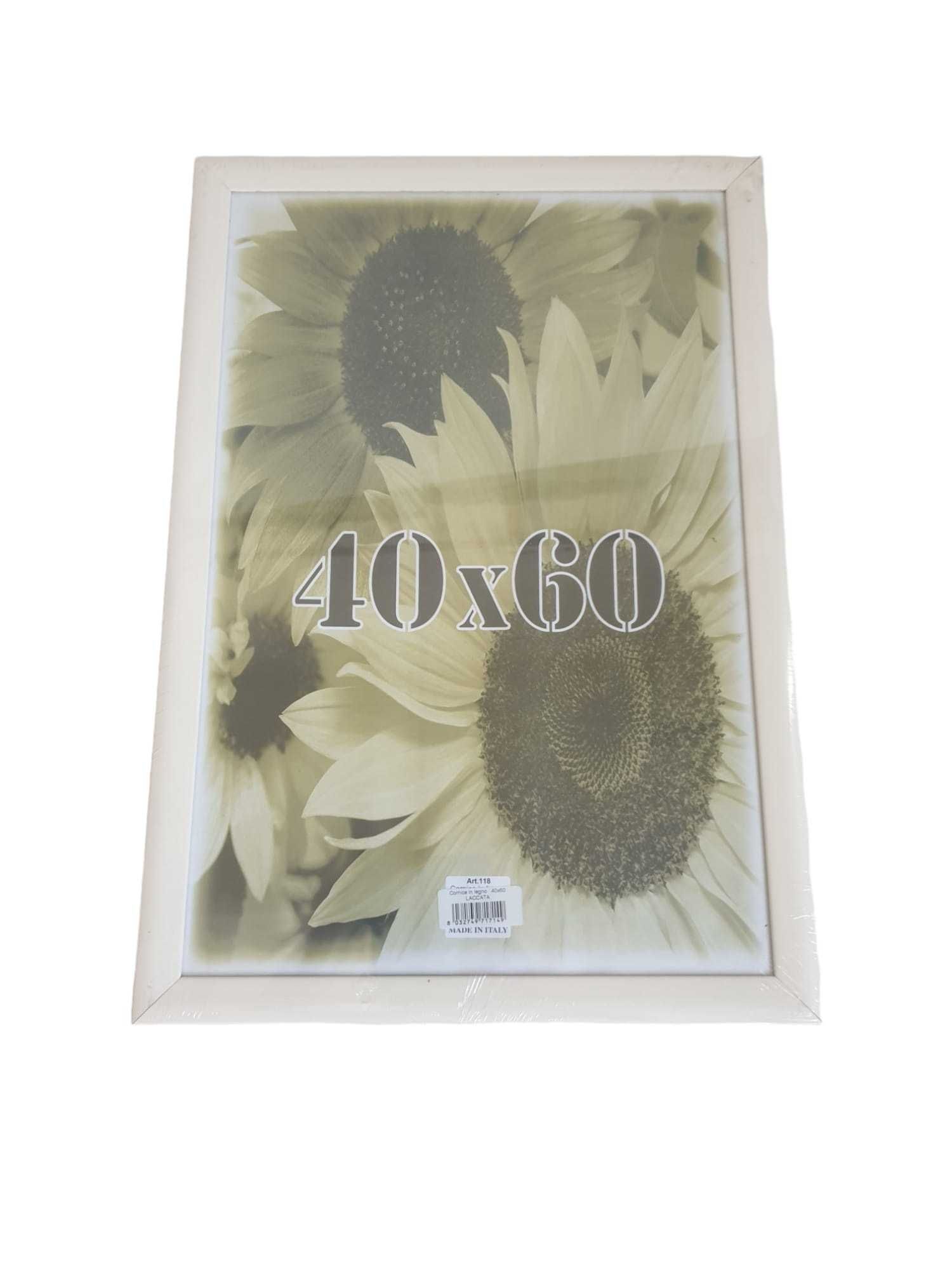 Rame poster 40×60 cm diferite culori si marimi Rame foto