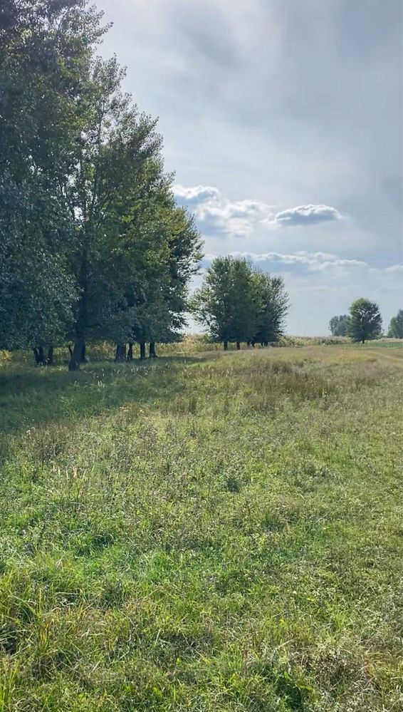 Teren intravilan langa lac - comuna Berceni