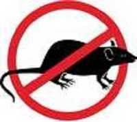 Дезинфекция Уничтожение клопов крыс мышей блох мух. мошек