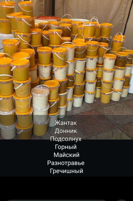 Натуральный мёд, таза бал, Алматы
