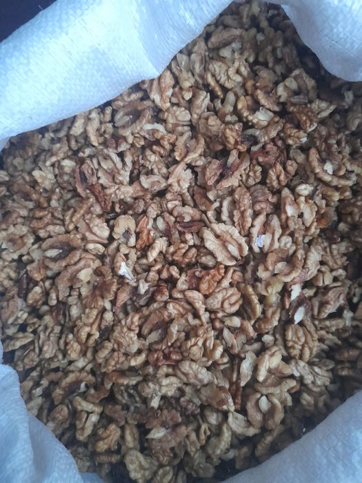 Vand sâmburi de nuca proaspeti