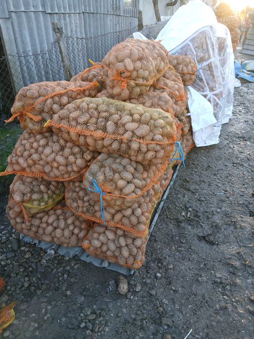 Cartofi animale si samanta