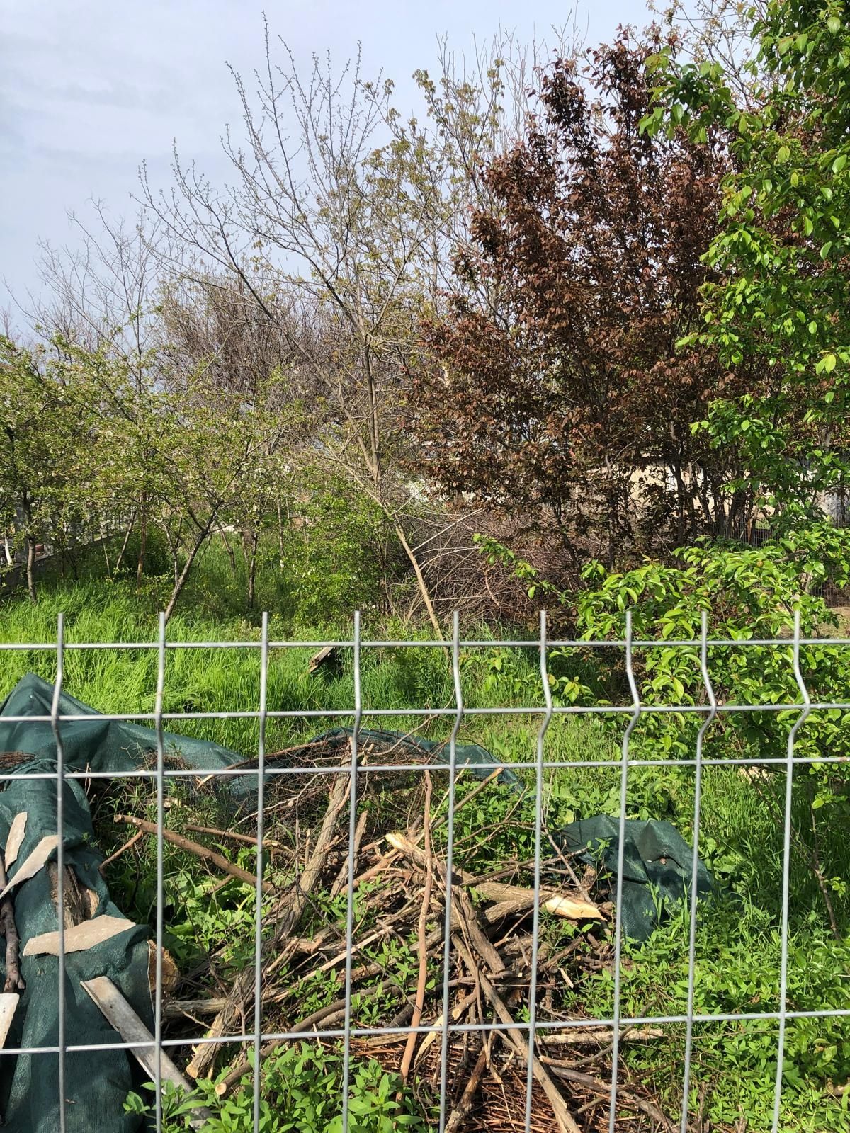 Defrișare Vegetație/Eliberare teren