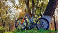 Bicicleta Mtb Carrera Vendeta 27.5
Hardtail
Cadru:M


Furca:Sr Suntour