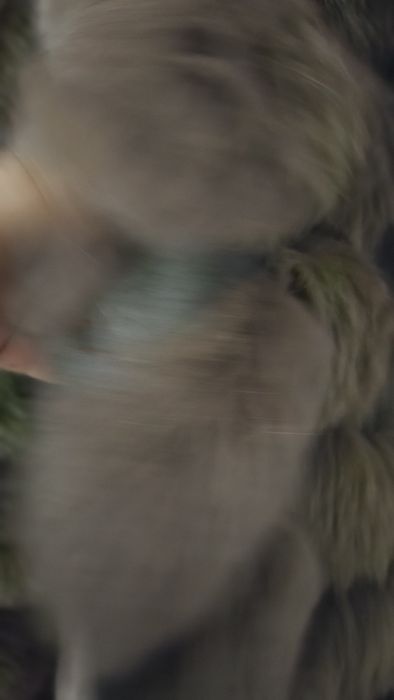 Haina blana vulpe mâneci detasabile