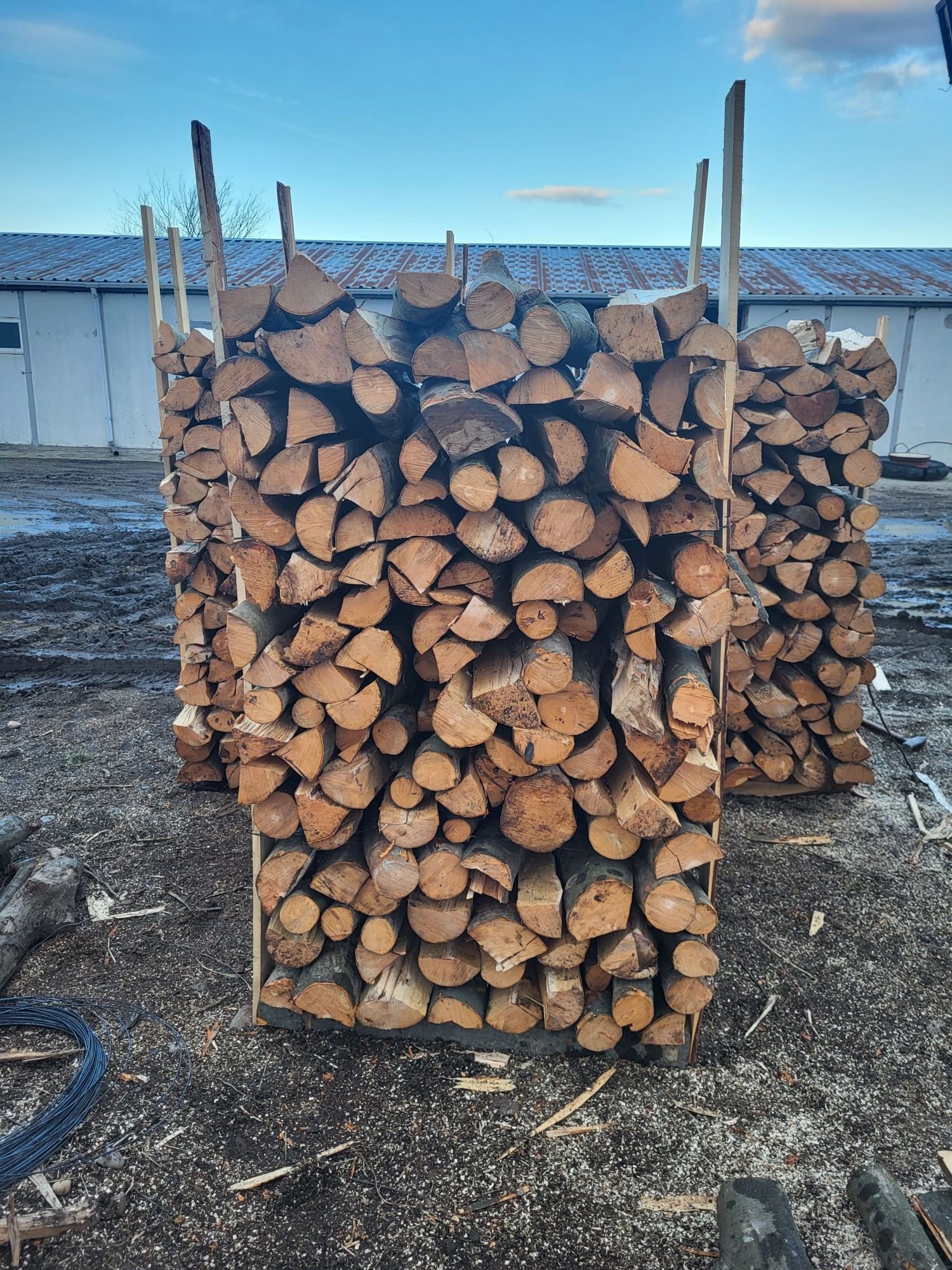 Vind lemne foc fag si carpen