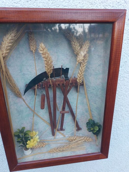 Accesoriu decorațiune display vintage colectie lemn sticla Franța 1950